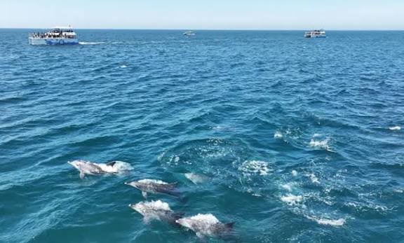 Global Oceans Record Warmest June on Record, EU Climate Monitor Says